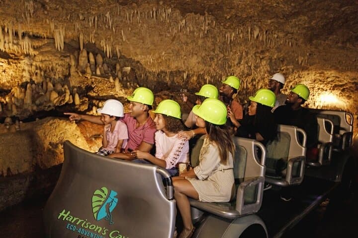 Harrison's Cave & Monkey Zipline: Underground Tram, Aviary Walk and 120-Foot Zips in Barbados photo 5