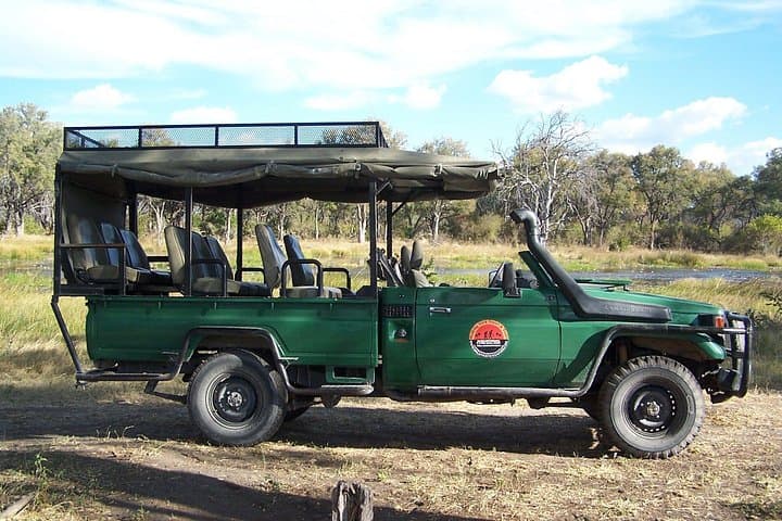 17-Day Buffalo Track Botswana Private Safari — Mobile Camps, Mokoro & Big Cats photo 4