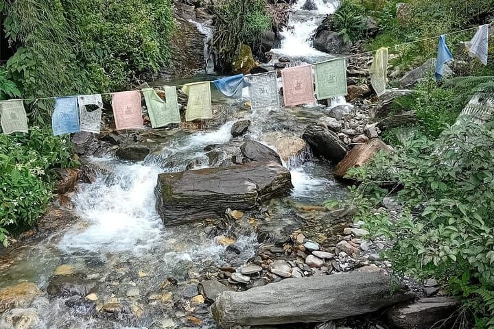 10-Day Annapurna Base Camp Trek from Pokhara — Complete Guide photo 5