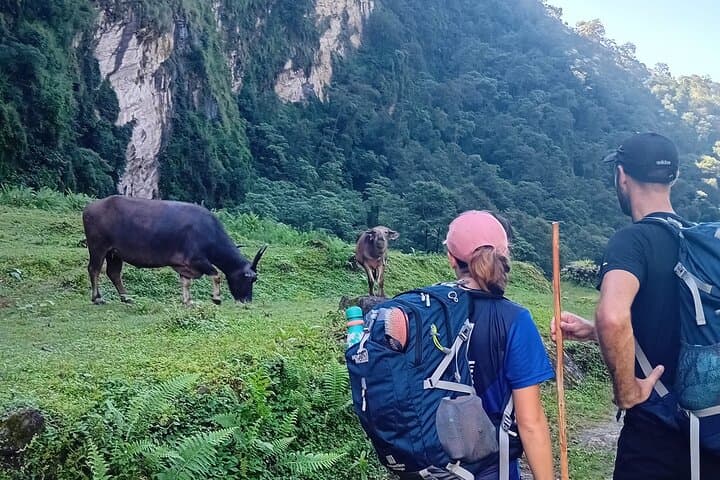 10-Day Annapurna Base Camp Trek from Pokhara — Complete Guide photo 6