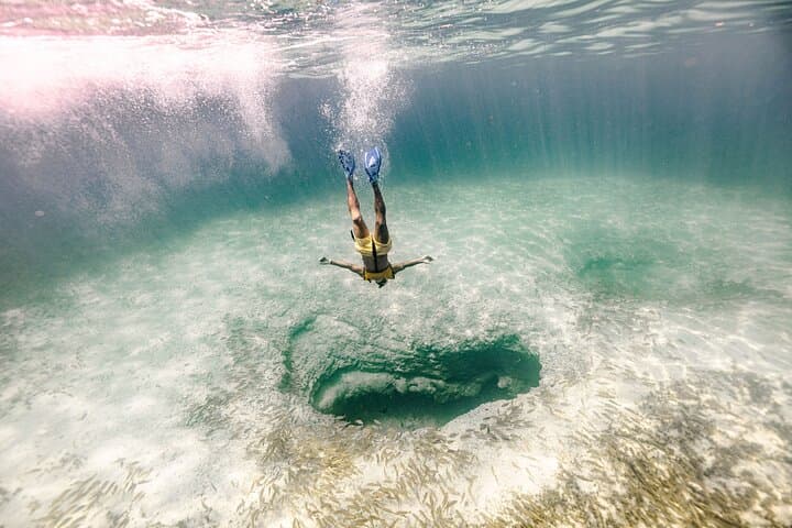 Cancún Bay 3-in-1: Snorkel, Parasail & Turtle Swim Experience photo 5