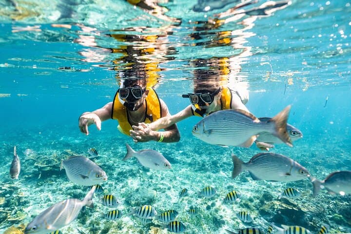 Cancún Bay 3-in-1: Snorkel, Parasail & Turtle Swim Experience