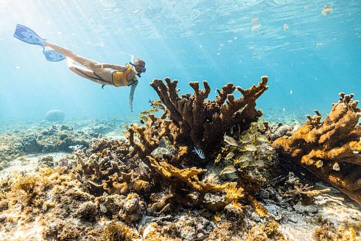 Snorkel Paradise Cancun: 5-in-1 Guided Snorkel Tour for Non-Swimmers photo 1
