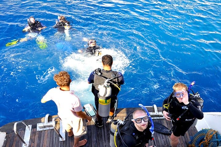 Red Sea Scuba Dive Trip from Hurghada: 2 Dives, Lunch & Transfers photo 3