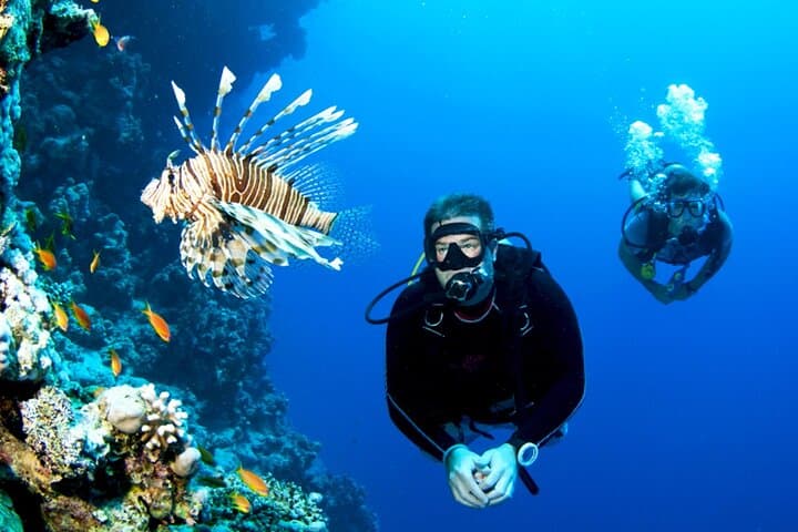 Red Sea Scuba Dive Trip from Hurghada: 2 Dives, Lunch & Transfers