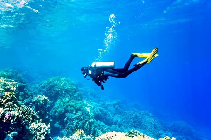 Red Sea Scuba Dive Trip from Hurghada: 2 Dives, Lunch & Transfers photo 2