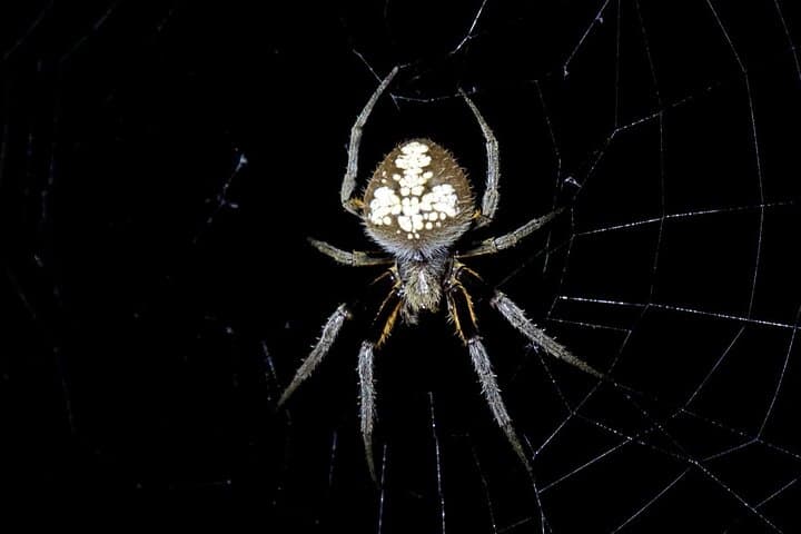 Extreme Calderon: 4-Day Amazon Jungle Trek from Leticia photo 4