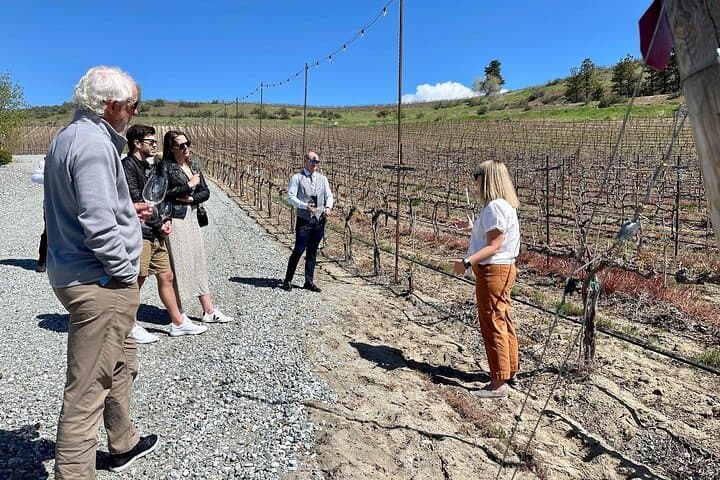 Leavenworth to Wenatchee: A 6‑Hour Guided Wine Tour Through Eastern Washington Vineyards photo 4