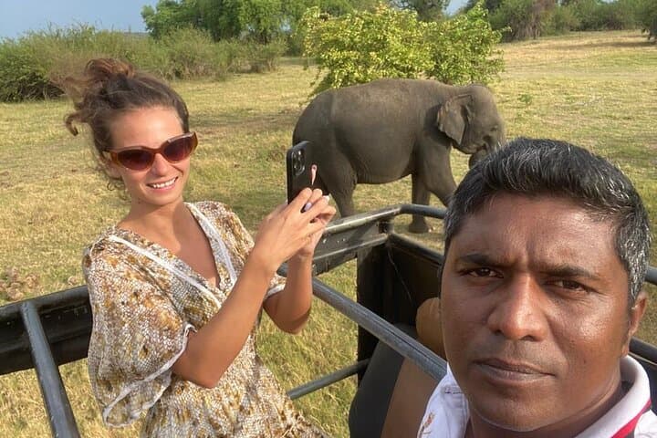 Sigiriya & Dambulla Day Trip from Colombo: Climb Lion Rock, Village Lunch & Safari