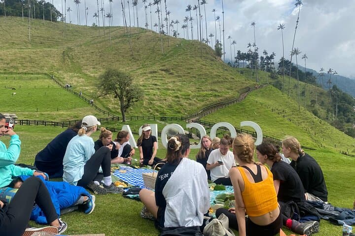 Two-Day Salento Adventure: Cocora Valley Hike, Coffee Farm & Santa Rita Canyoning photo 4