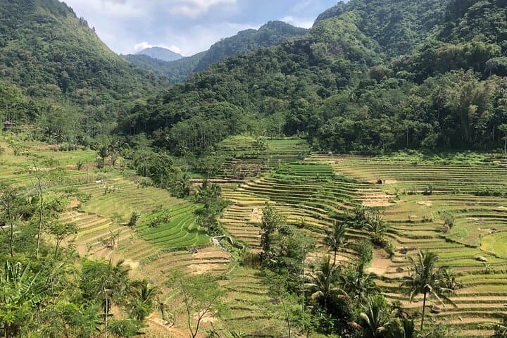Borobudur Climb & Selogriyo Rice Terrace Day Tour — Full Climb, Guided Trek from Yogyakarta photo 2