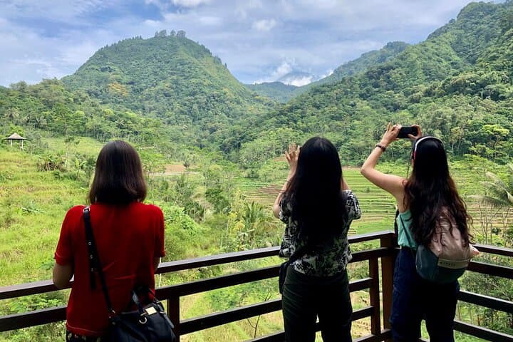 Borobudur Climb & Selogriyo Rice Terrace Day Tour — Full Climb, Guided Trek from Yogyakarta photo 4