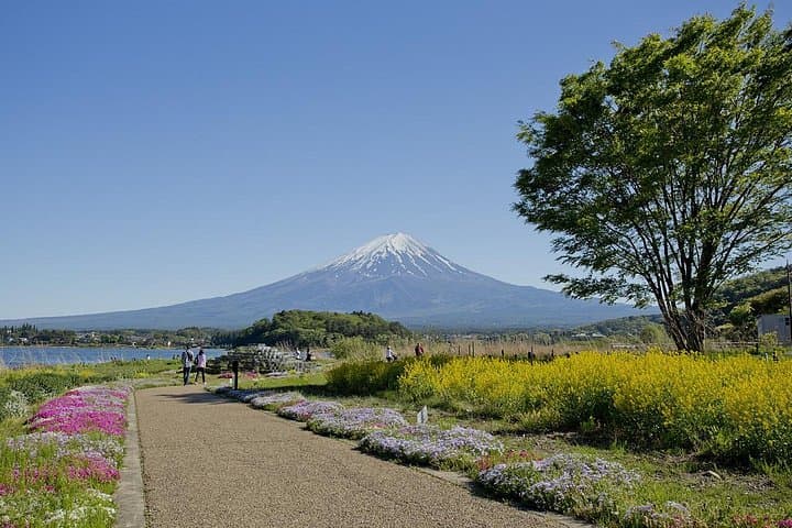 Private Mt Fuji Day Tour from Tokyo — 5th Station, Kawaguchiko & Lava Caves photo 2