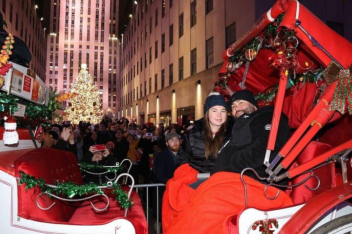 NYC Christmas Lights Private Horse Carriage Ride — Central Park to Rockefeller Center photo 2