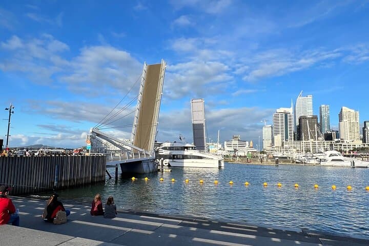 Auckland Airport to City Private Transfer — Fast, Comfortable Door-to-Door Service photo 2