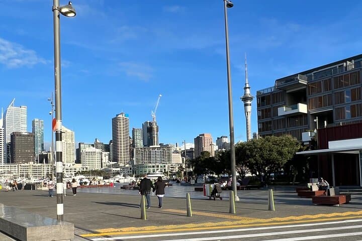 Auckland Airport to City Private Transfer — Fast, Comfortable Door-to-Door Service photo 4