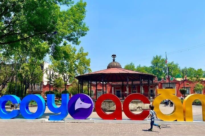 Private Xochimilco & Coyoacán Floating Gardens Tour — Mexico City Day Trip photo 5