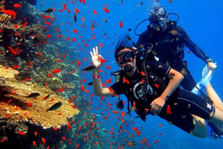Hurghada Red Sea Diving Expedition for Novice and Certified Divers photo 5
