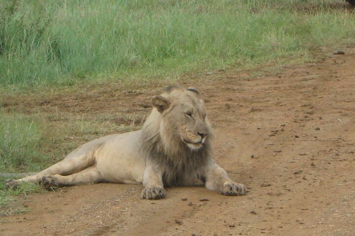Addo Elephant Park Day Tour: Wildlife Safari from Port Elizabeth photo 4