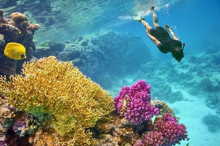 Orange Bay Hurghada: Full-Day Red Sea Snorkel & Watersports photo 6