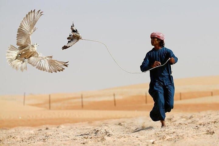 Dubai Dunes Desert Safari: Sunset Dune Bashing, Sandboarding & BBQ Experience photo 2