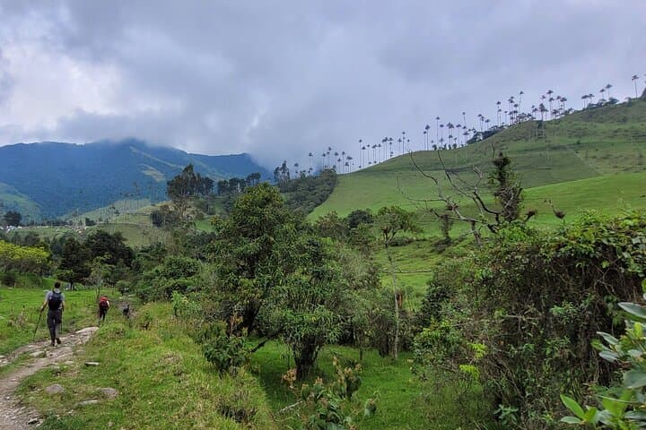 Summit Nevado Tolima: 4-Day Guided Glacier Hike from Salento photo 3