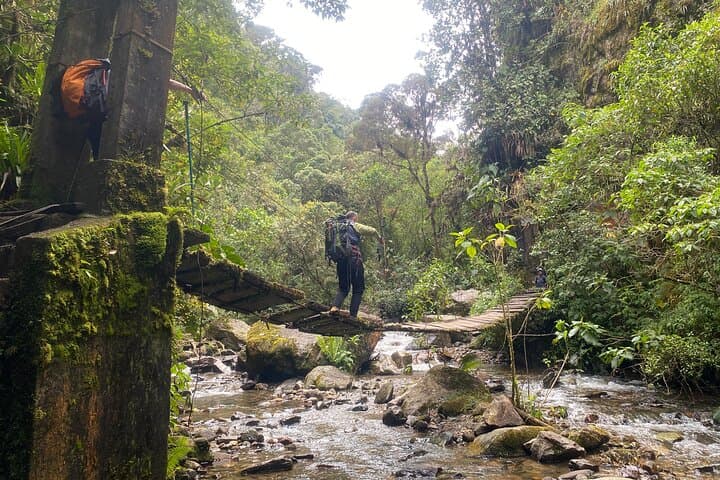 Summit Nevado Tolima: 4-Day Guided Glacier Hike from Salento photo 4