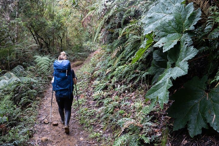 Summit Nevado Tolima: 4-Day Guided Glacier Hike from Salento photo 2