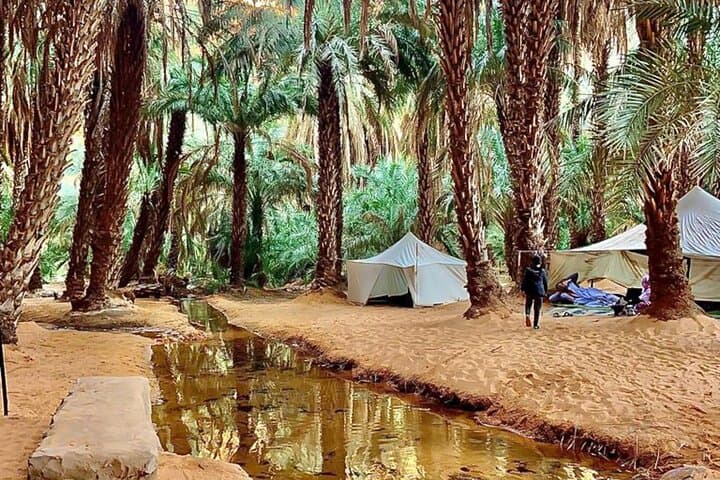 Adrar & Banc d'Arguin: 10-Day Desert Dunes, Oasis & Birdlife Expedition
