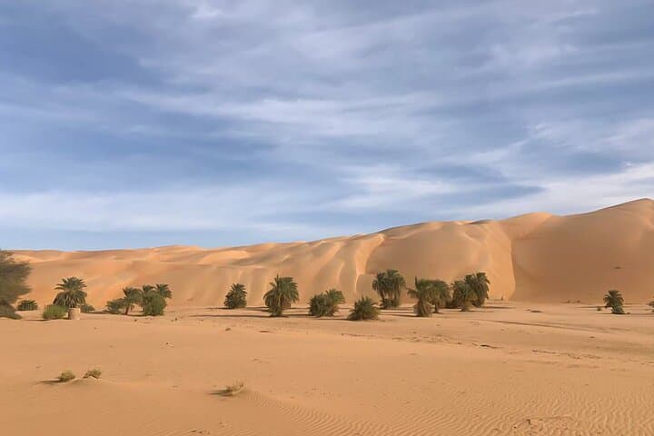Adrar & Banc d'Arguin: 10-Day Desert Dunes, Oasis & Birdlife Expedition photo 2