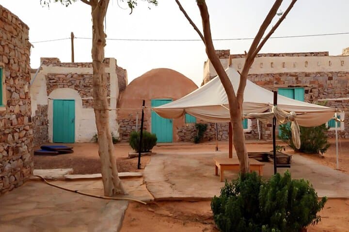 Adrar & Banc d'Arguin: 10-Day Desert Dunes, Oasis & Birdlife Expedition photo 3