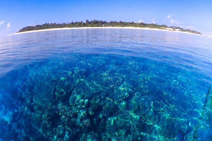 Okinawa Scuba Diving at Minna & Sesoko with Wagyu Lunch photo 2