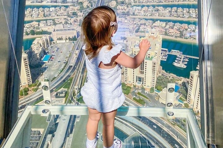 View at The Palm Observation Deck — Palm Jumeirah Panoramic Guide photo 3