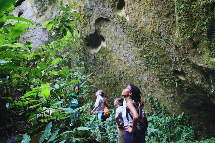 Route of the Dreams: Full-Day Jungle Trek from Tena photo 3