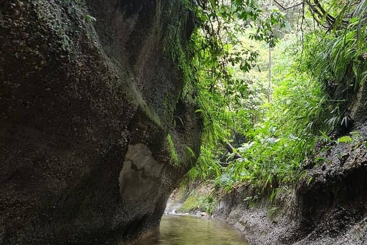 Route of the Dreams: Full-Day Jungle Trek from Tena photo 4