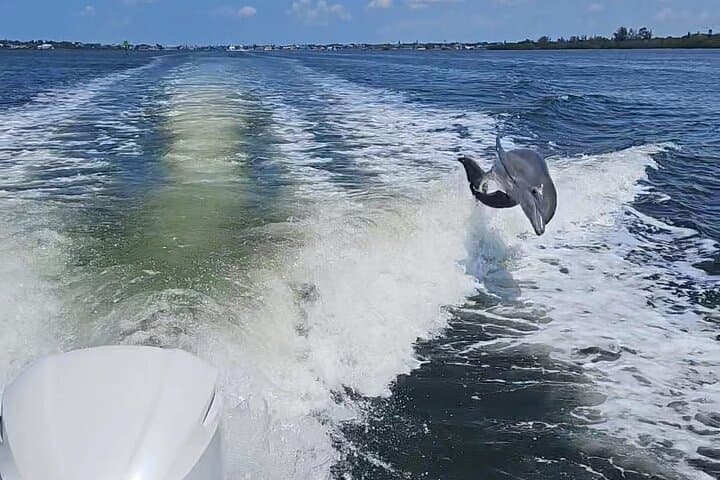 3-Hour Tiki Bar Hopping Cruise in Sarasota: Private Boat Tour with Dolphin Sightings photo 4