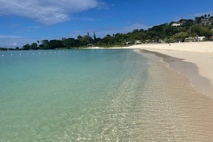 Negril Seven Mile Beach & Rick's Cafe Private Tour — Snorkeling, Sunset & Cliff Jumping photo 2