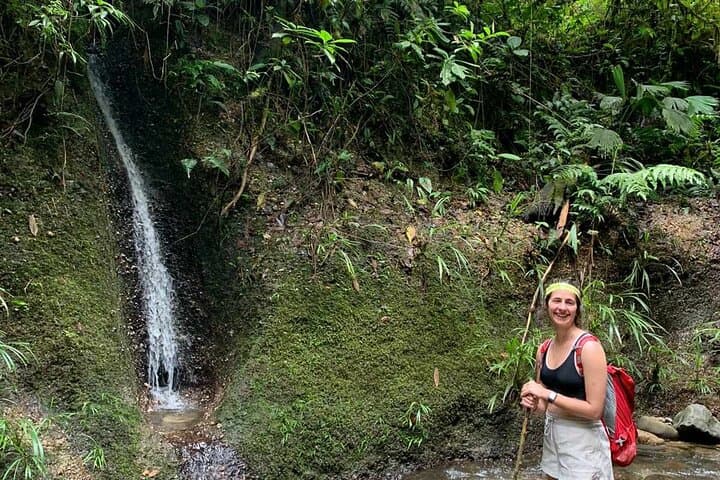 Route of the Dreams: Full-Day Jungle Trek from Tena photo 5