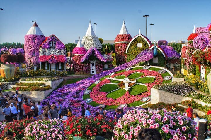 Exploring Dubai Miracle Garden: Admission, Transfers & Visitor Guide