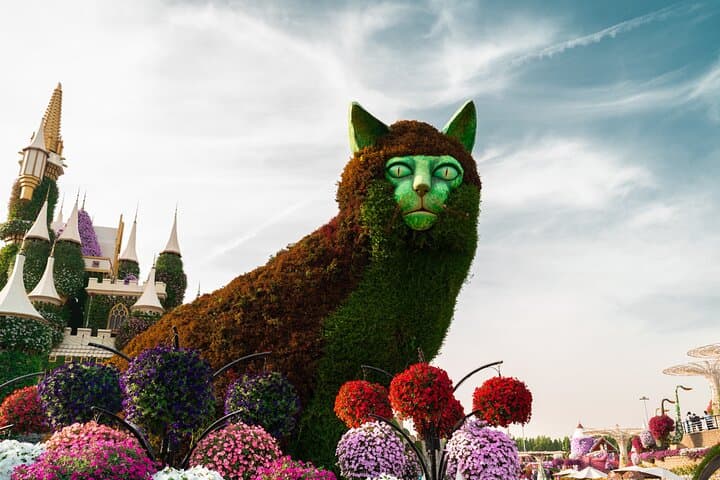 Exploring Dubai Miracle Garden: Admission, Transfers & Visitor Guide photo 6