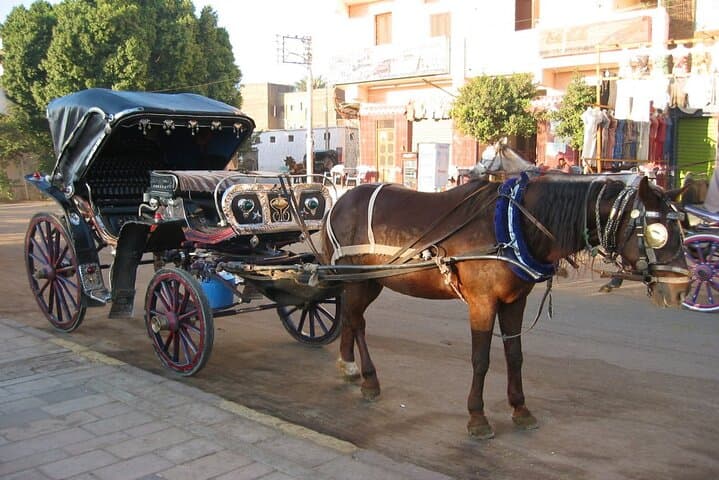 Horse-Drawn Carriage Tour in Aswan: Corniche Ride with Local Egyptologist photo 3
