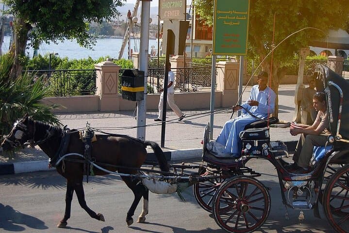 Horse-Drawn Carriage Tour in Aswan: Corniche Ride with Local Egyptologist