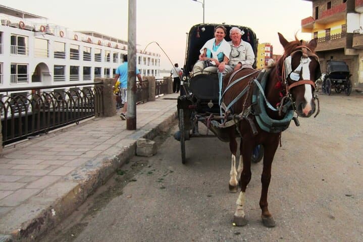 Horse-Drawn Carriage Tour in Aswan: Corniche Ride with Local Egyptologist photo 2