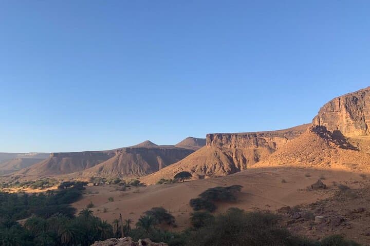 Adrar & Banc d'Arguin: 10-Day Desert Dunes, Oasis & Birdlife Expedition photo 5