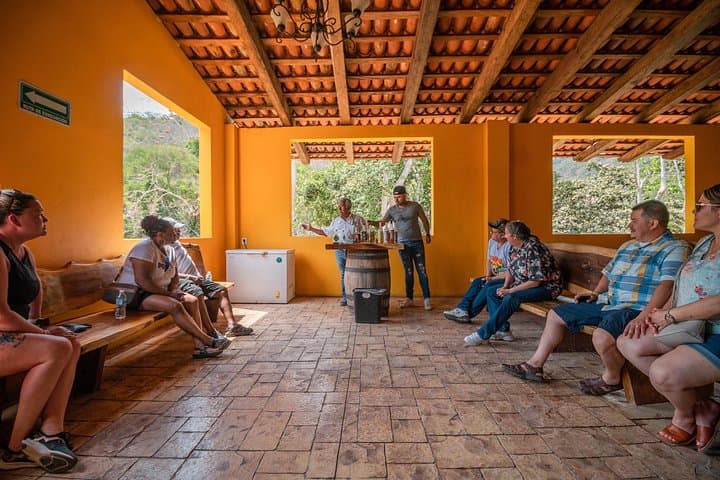 Puerto Vallarta Private City Tour and Tequila Tasting — Old Town, Malecón & Distillery Visit photo 2