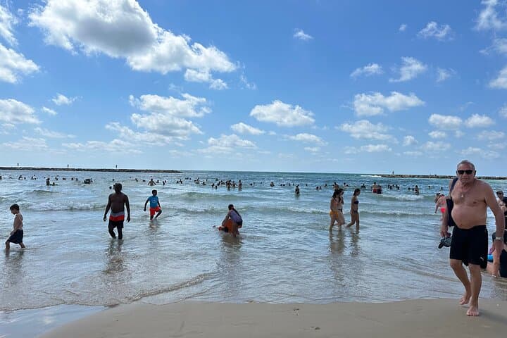 Sunny Isles & Haulover Snorkel: Small-Group Reef Adventure from Miami photo 4