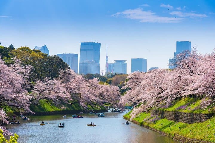 Private Full-Day Tokyo Shore Tour from Tokyo Cruise Port photo 1