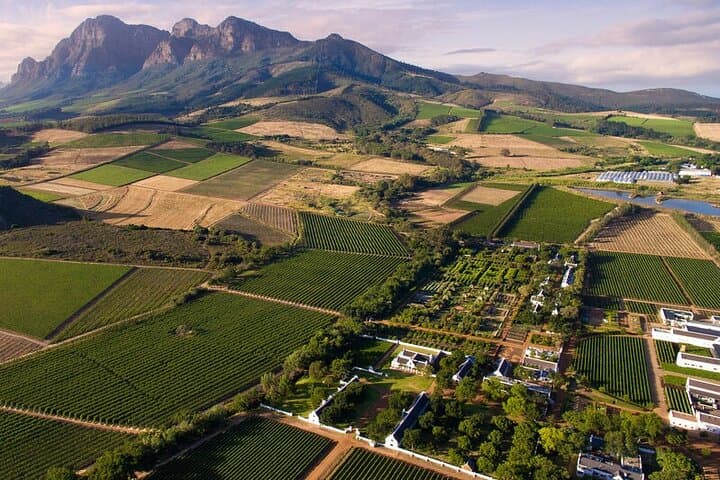 Cape Winelands Full-Day Private Wine Tour — Franschhoek, Paarl & Stellenbosch photo 3