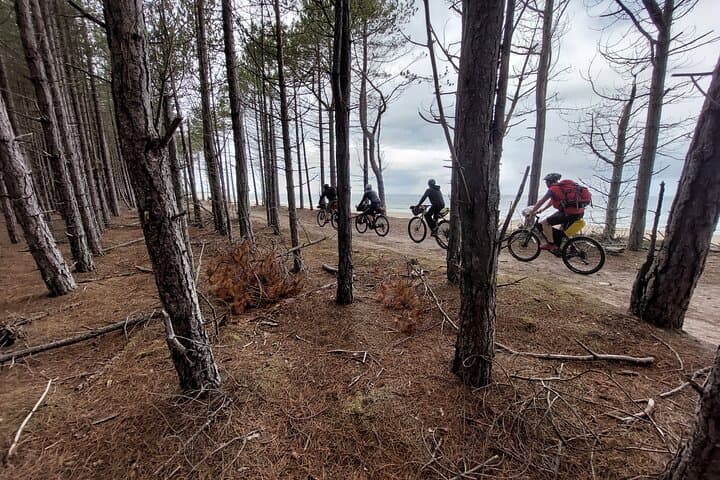 2-Day Private Guided Bikepacking in Cairngorm National Park from Grantown-on-Spey