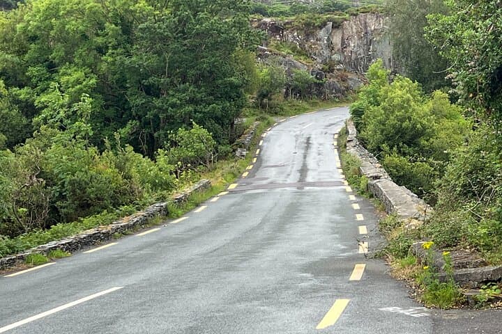 Ring of Kerry Day Tour from Killarney: Scenic Drive to Kerry Cliffs & Skellig Ring photo 5